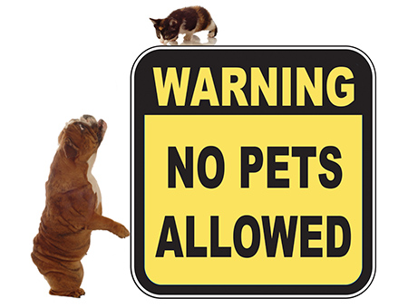 no-pets-allowed