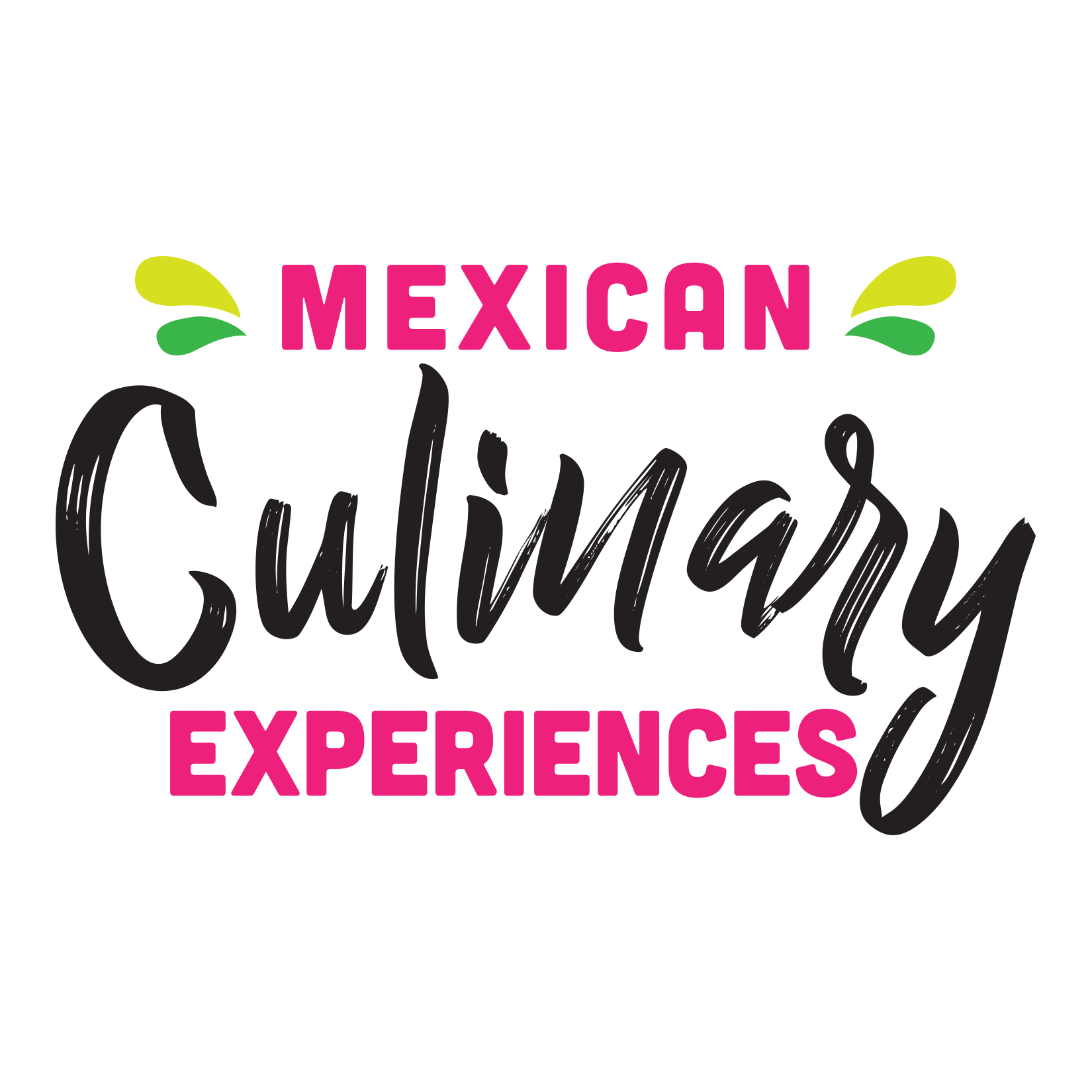 mexican culinary experience